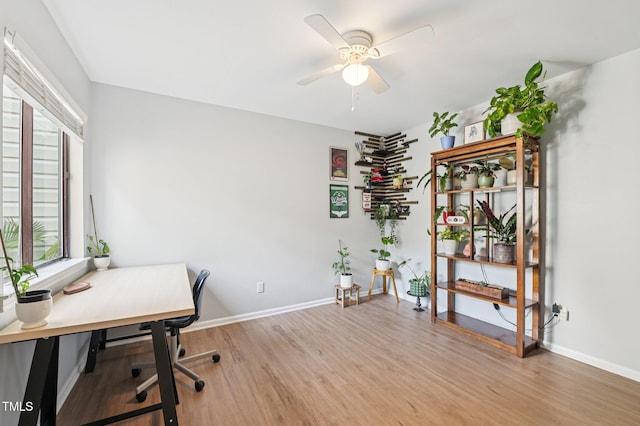 4706 Walden Pond Dr Unit B, Raleigh, NC 27604 - photo 15