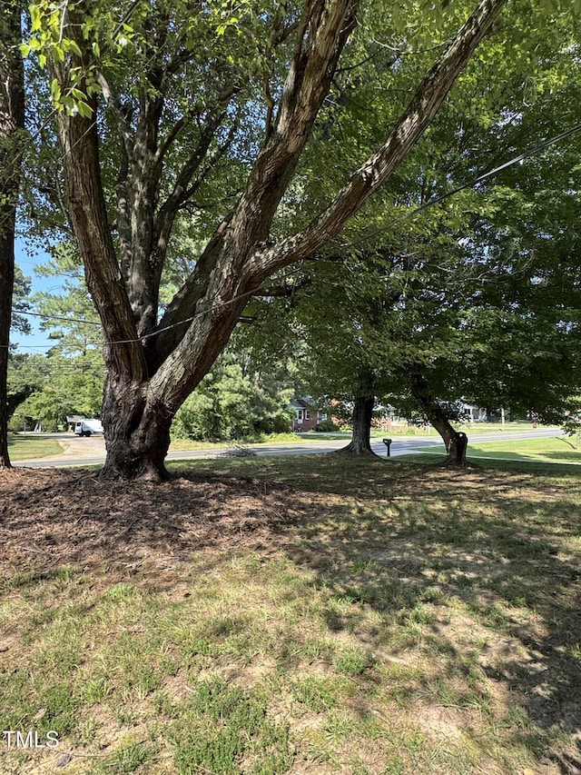716 Williamsboro St, Oxford, NC 27565 - photo 9