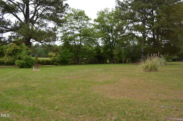 3786 Airport Rd, Siler City, NC 27344 - photo 5