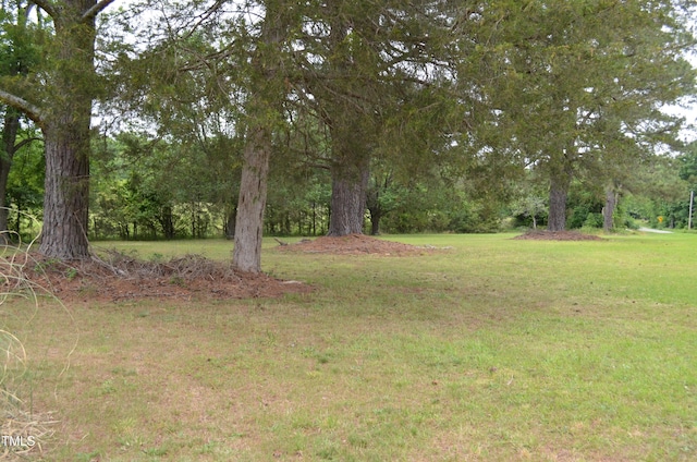3786 Airport Rd, Siler City, NC 27344 - photo 10