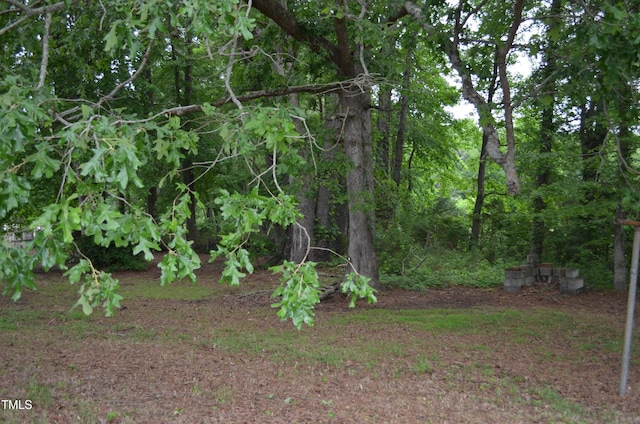 3786 Airport Rd, Siler City, NC 27344 - photo 16
