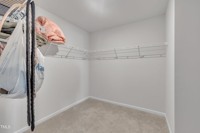 637 Marrian Dr, Clayton, NC 27520 - photo 45