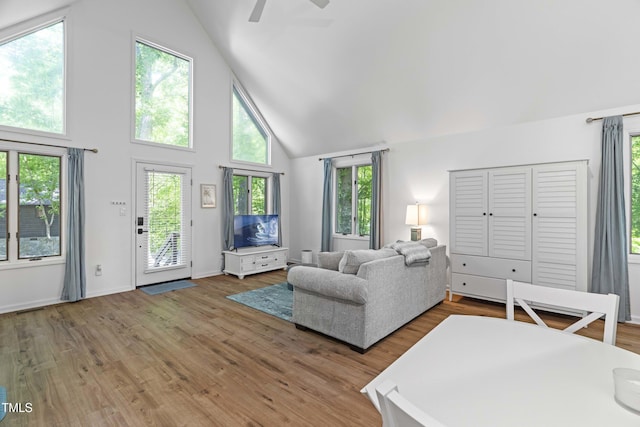 2117 Averette Rd, Wake Forest, NC 27587 - photo 48