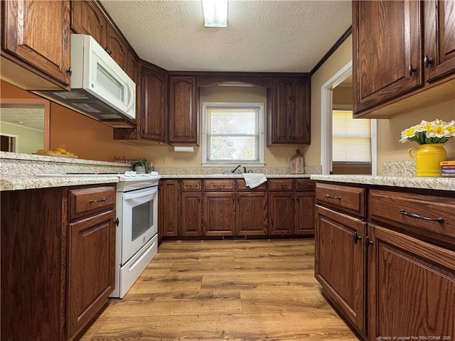 1426 Red Springs Rd, Raeford, NC 28376 - photo 14
