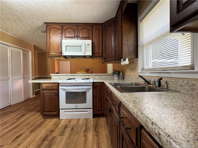 1426 Red Springs Rd, Raeford, NC 28376 - photo 15