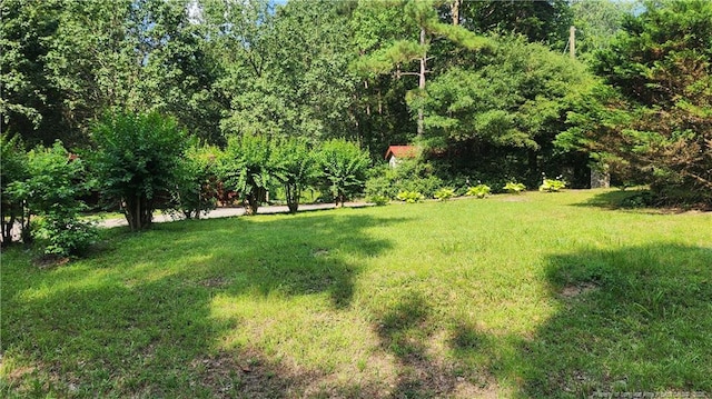 3234 Cool Springs Rd, Broadway, NC 27505 - photo 5