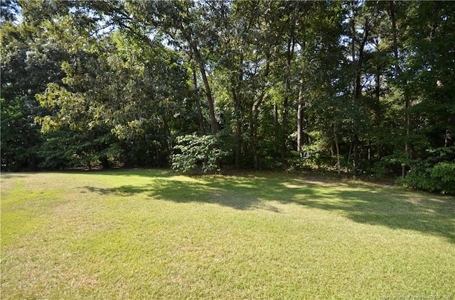 2125 Yeager St, Eastover, NC 28312 - photo 42