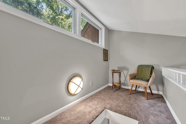 4401 Shadetree Ct, Raleigh, NC 27613 - photo 19