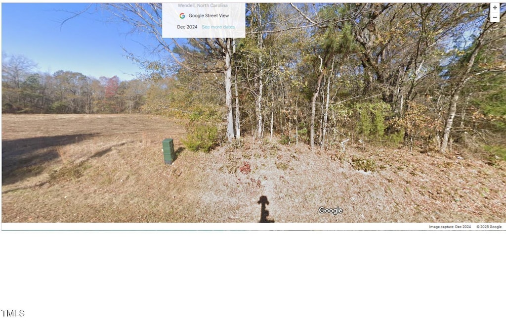 6725 Hodge Rd, Wendell, NC 27591 - photo 2