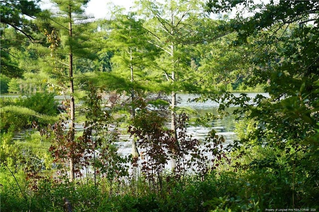LOT8 Lakeview Dr, Red Springs, NC 28377 - photo 1