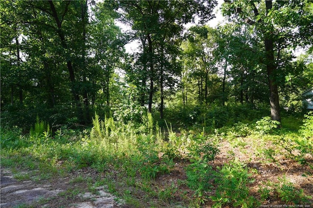 LOT8 Lakeview Dr, Red Springs, NC 28377 - photo 3