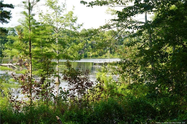 LOT8 Lakeview Dr, Red Springs, NC 28377 - photo 4