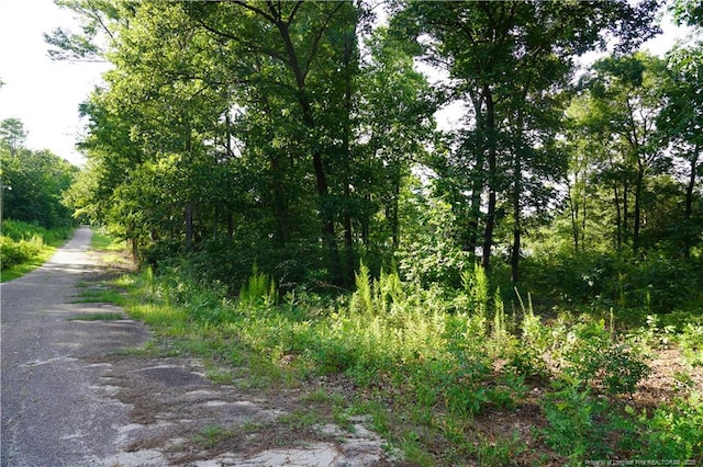 LOT8 Lakeview Dr, Red Springs, NC 28377 - photo 6