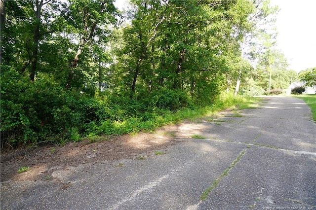 LOT8 Lakeview Dr, Red Springs, NC 28377 - photo 5