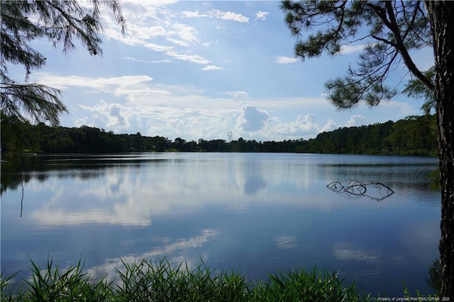 LOT8 Lakeview Dr, Red Springs, NC 28377 - photo 7