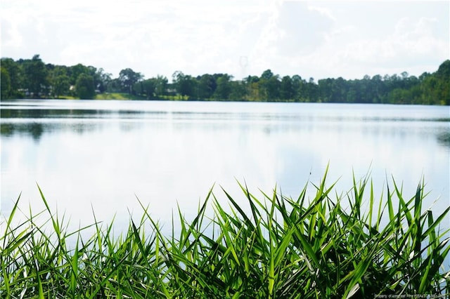 LOT8 Lakeview Dr, Red Springs, NC 28377 - photo 8