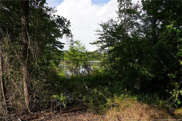 LOT8 Lakeview Dr, Red Springs, NC 28377 - photo 9