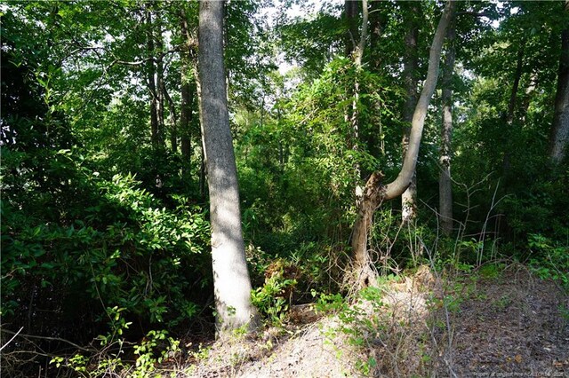 LOT8 Lakeview Dr, Red Springs, NC 28377 - photo 10