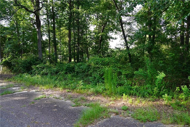 LOT8 Lakeview Dr, Red Springs, NC 28377 - photo 11