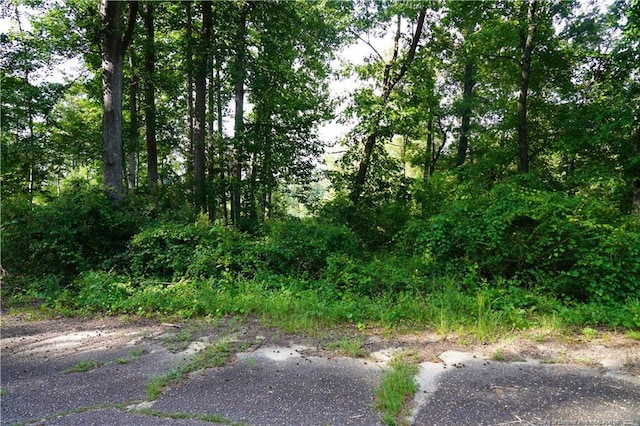 LOT8 Lakeview Dr, Red Springs, NC 28377 - photo 12