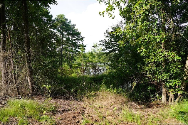 LOT8 Lakeview Dr, Red Springs, NC 28377 - photo 13