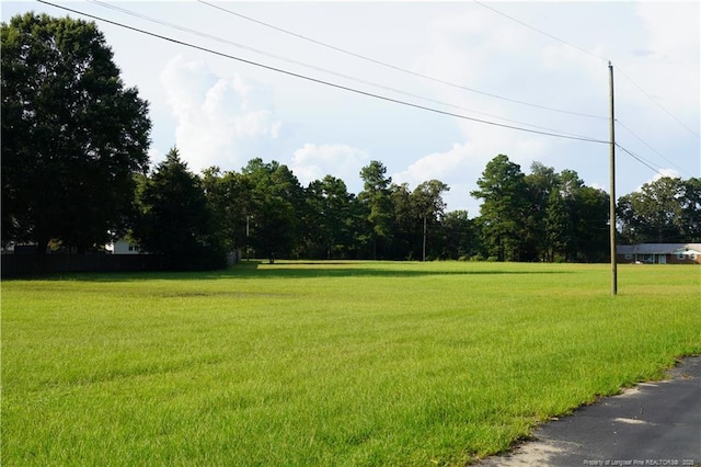 LOT8 Lakeview Dr, Red Springs, NC 28377 - photo 18