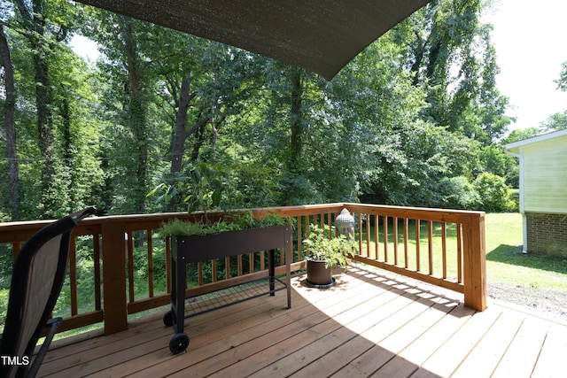 1916 Sherman Ave, Durham, NC 27707 - photo 29