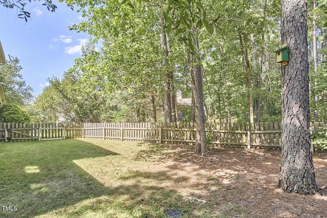 123 Carlion Ct, Durham, NC 27713 - photo 43