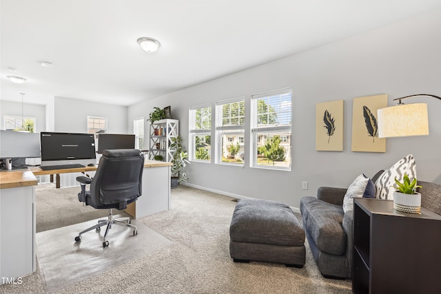 6050 Beale Loop, Raleigh, NC 27616 - photo 22
