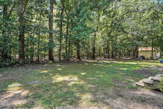 133 Abbey Way, Franklinton, NC 27525 - photo 29