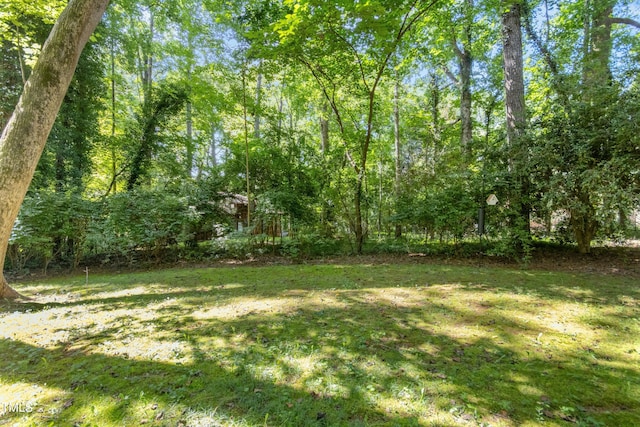 409 Smith Ave Unit 103, Chapel Hill, NC 27516 - photo 29