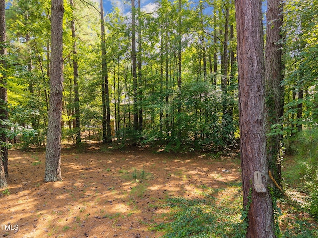3 Paddington Pl, Chapel Hill, NC 27517 - photo 30