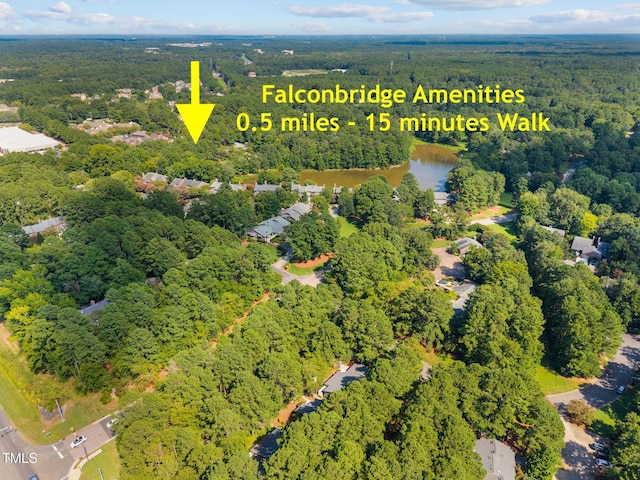 3 Paddington Pl, Chapel Hill, NC 27517 - photo 32
