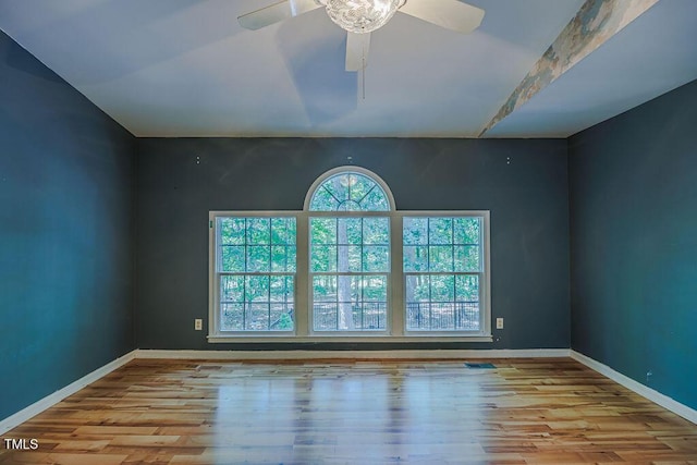 5 Loblolly Ct, Durham, NC 27712 - photo 11