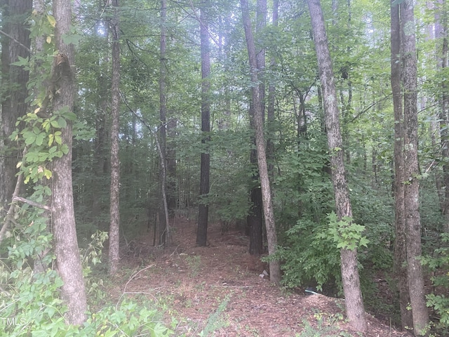 7304 Oak Leaf Dr, Chapel Hill, NC 27517 - photo 2
