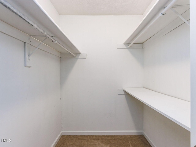 4621 Timbermill Ct Unit 101, Raleigh, NC 27612 - photo 26