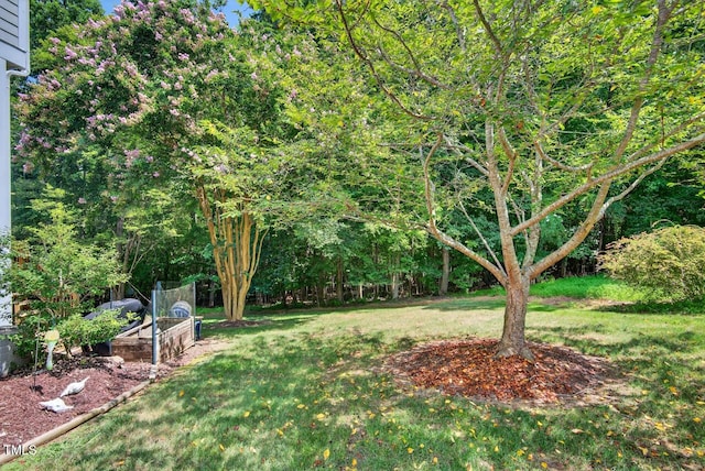 27 Garden Hills Ct, Durham, NC 27712 - photo 4