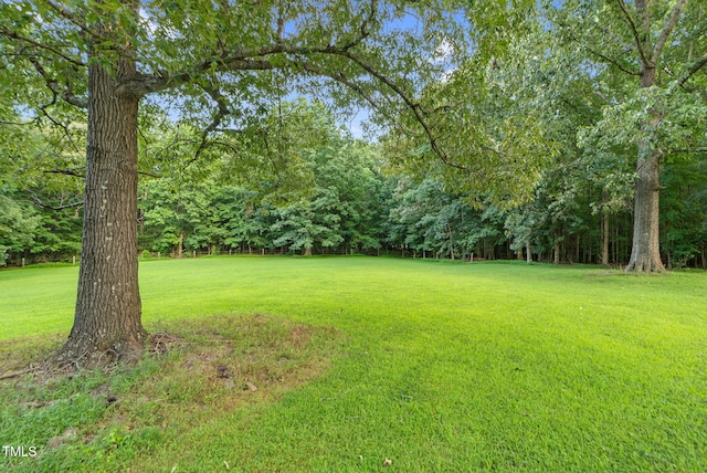 687 Cooke Rd, Louisburg, NC 27549 - photo 27