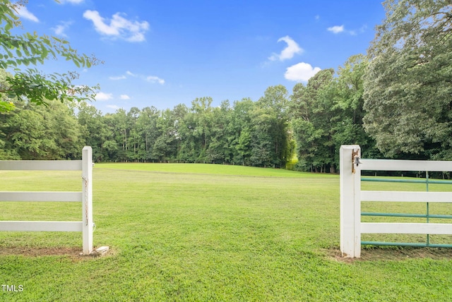 687 Cooke Rd, Louisburg, NC 27549 - photo 29