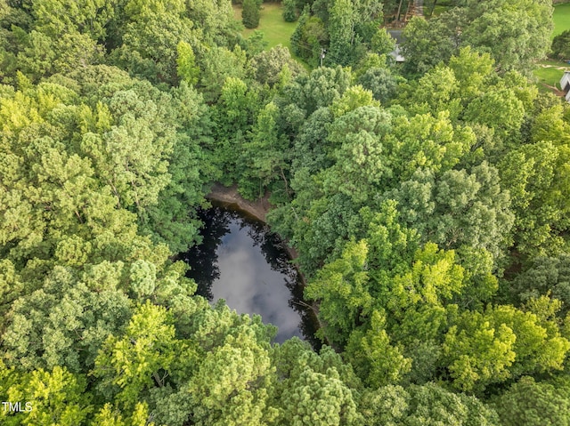 687 Cooke Rd, Louisburg, NC 27549 - photo 55