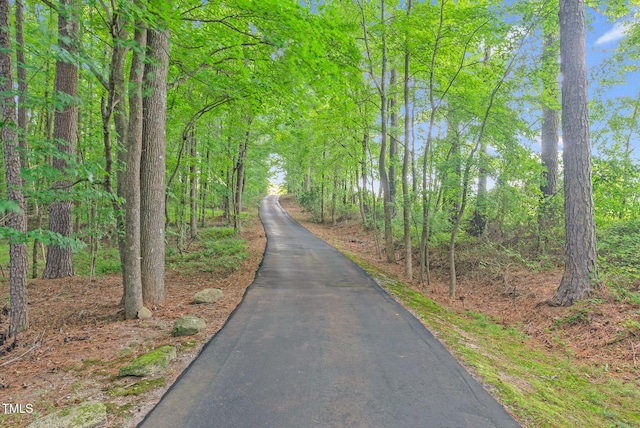 687 Cooke Rd, Louisburg, NC 27549 - photo 4