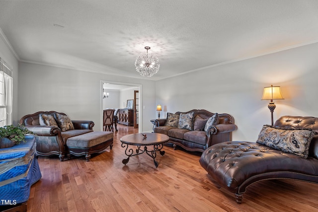 919 Drag Strip Rd, Benson, NC 27504 - photo 17