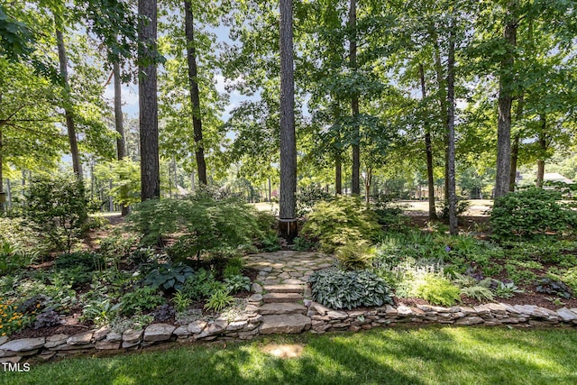 27425 Walker, Chapel Hill, NC 27517 - photo 42