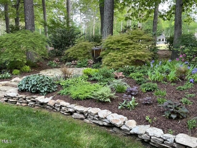 27425 Walker, Chapel Hill, NC 27517 - photo 45