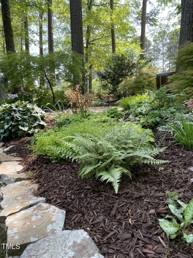 27425 Walker, Chapel Hill, NC 27517 - photo 49