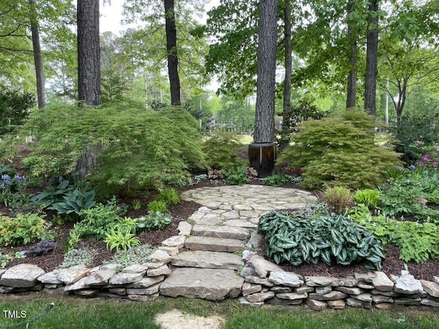 27425 Walker, Chapel Hill, NC 27517 - photo 58