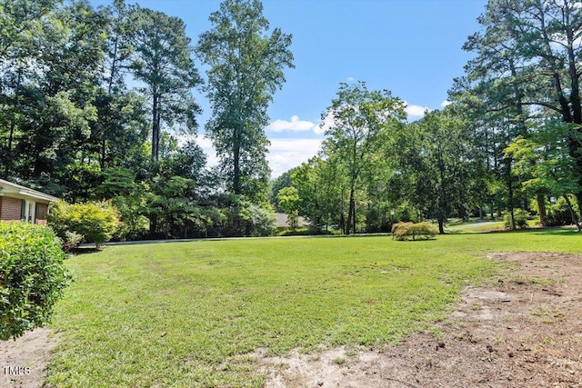 1402 Spring Ln, Sanford, NC 27330 - photo 32