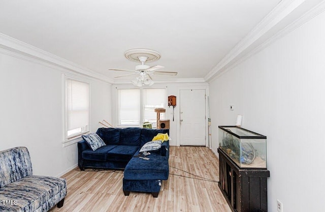 1035 Moore St, Rocky Mount, NC 27801 - photo 13
