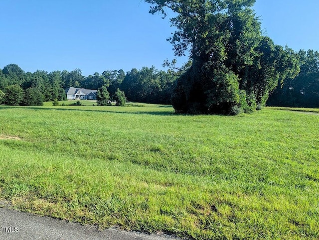 10 Grace Stone Dr, Clarksville, VA 23927 - photo 7