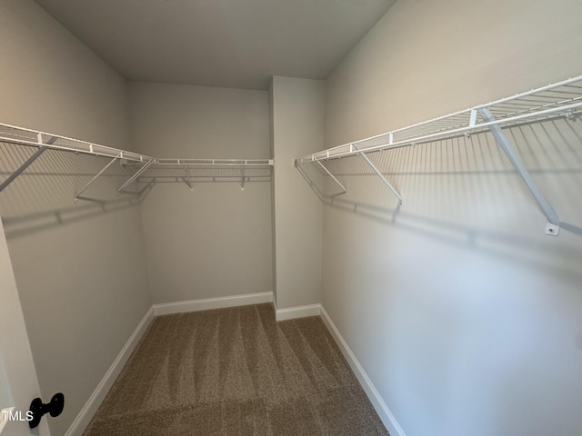 732 Lightrail Dr, Knightdale, NC 27545 - photo 19